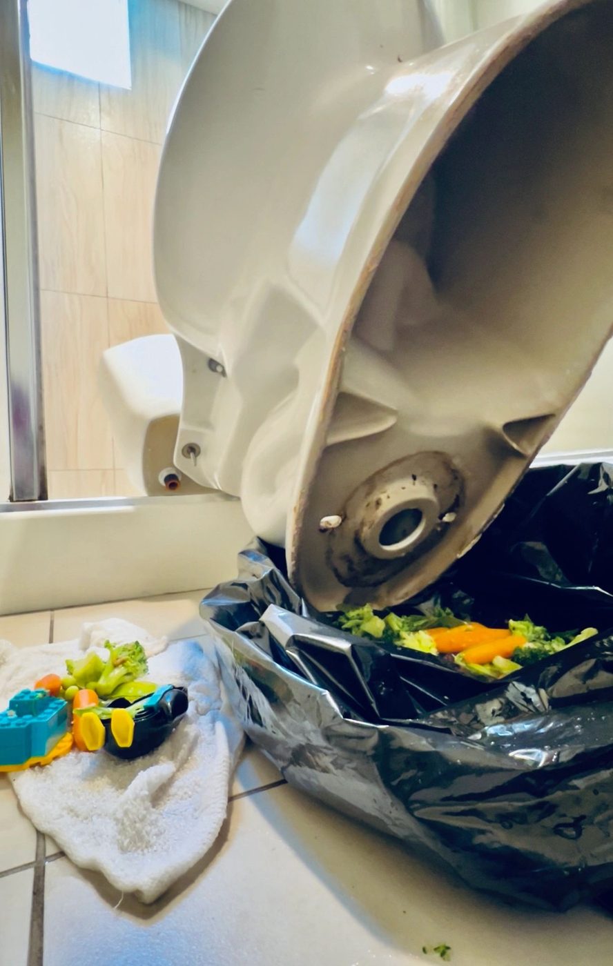 Toilets — repaired, replaced, upgraded.